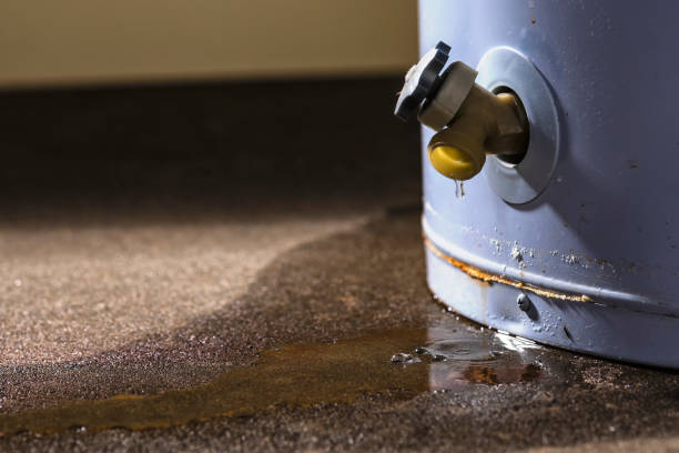Best Flood restoration services  in Snellville, GA