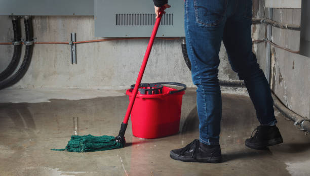 Best Mold removal after water damage  in Snellville, GA