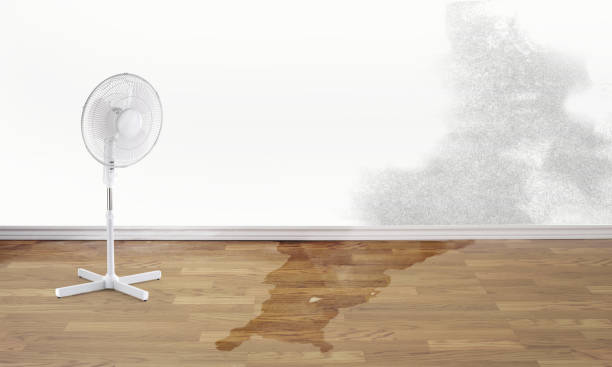 Best Carpet water damage restoration  in Snellville, GA