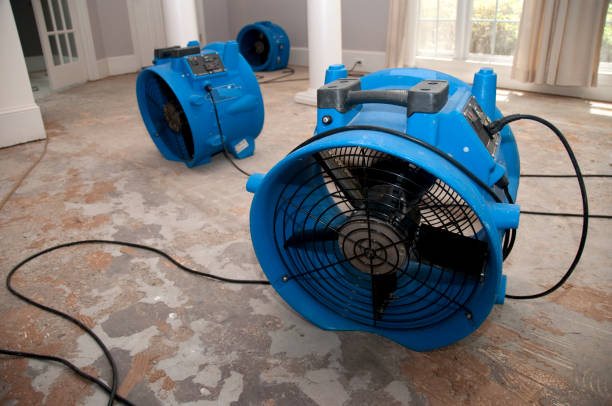 Best Basement water damage restoration  in Snellville, GA
