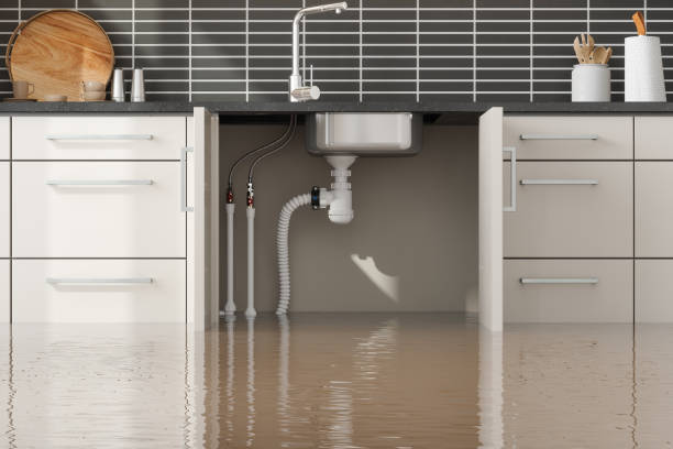 Best Water damage contractors near me  in Snellville, GA