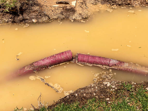 Best Local water damage restoration  in Snellville, GA