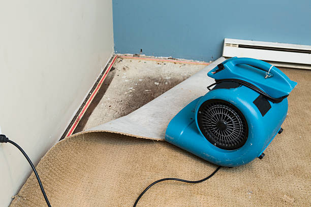 Best Flooded house restoration  in Snellville, GA